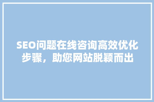 SEO问题在线咨询高效优化步骤，助您网站脱颖而出