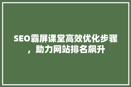 SEO霸屏课堂高效优化步骤，助力网站排名飙升