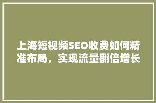 上海短视频SEO收费如何精准布局，实现流量翻倍增长  第1张