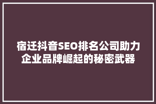 宿迁抖音SEO排名公司助力企业品牌崛起的秘密武器