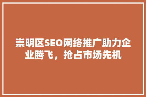 崇明区SEO网络推广助力企业腾飞，抢占市场先机  第1张
