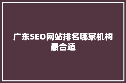 广东SEO网站排名哪家机构最合适