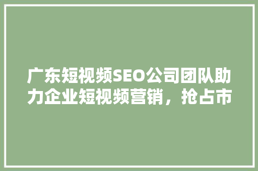 广东短视频SEO公司团队助力企业短视频营销，抢占市场先机