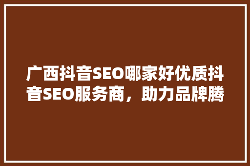 广西抖音SEO哪家好优质抖音SEO服务商，助力品牌腾飞