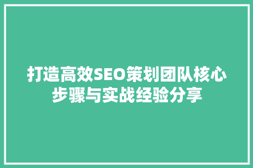 打造高效SEO策划团队核心步骤与实战经验分享