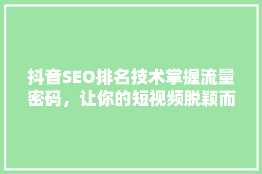 抖音SEO排名技术掌握流量密码，让你的短视频脱颖而出