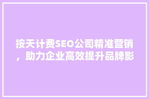 按天计费SEO公司精准营销，助力企业高效提升品牌影响力
