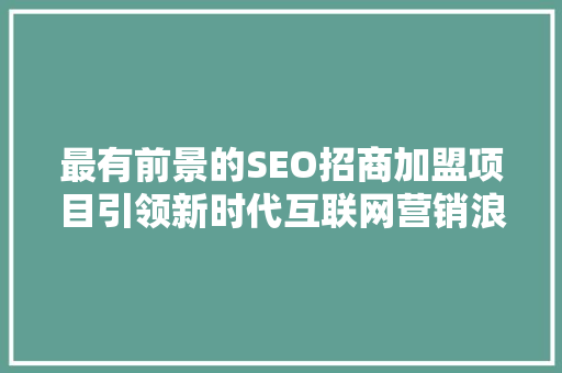 最有前景的SEO招商加盟项目引领新时代互联网营销浪潮