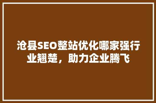沧县SEO整站优化哪家强行业翘楚，助力企业腾飞  第1张