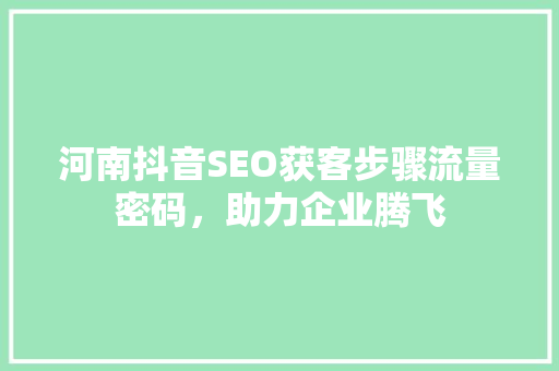 河南抖音SEO获客步骤流量密码，助力企业腾飞