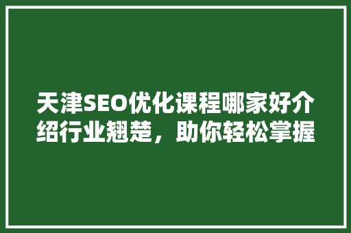 天津SEO优化课程哪家好介绍行业翘楚，助你轻松掌握搜索引擎优化方法