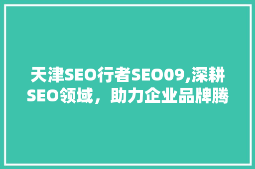 天津SEO行者SEO09,深耕SEO领域，助力企业品牌腾飞