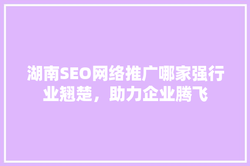 湖南SEO网络推广哪家强行业翘楚，助力企业腾飞