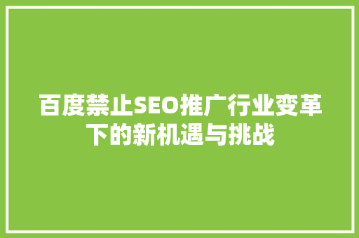 百度禁止SEO推广行业变革下的新机遇与挑战