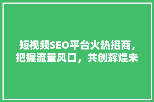 短视频SEO平台火热招商，把握流量风口，共创辉煌未来