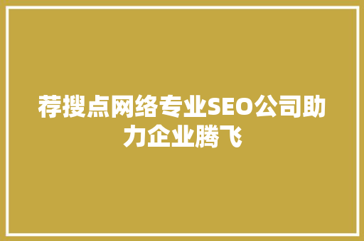 荐搜点网络专业SEO公司助力企业腾飞