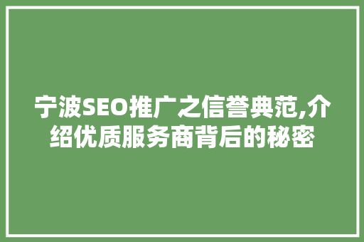 宁波SEO推广之信誉典范,介绍优质服务商背后的秘密
