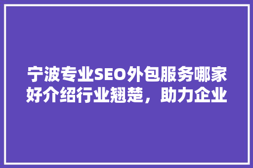 宁波专业SEO外包服务哪家好介绍行业翘楚，助力企业腾飞