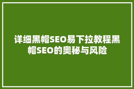 详细黑帽SEO易下拉教程黑帽SEO的奥秘与风险