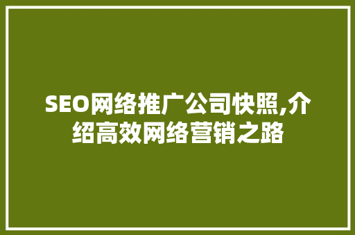 SEO网络推广公司快照,介绍高效网络营销之路