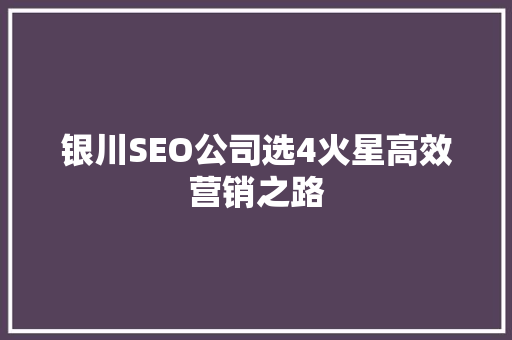 银川SEO公司选4火星高效营销之路