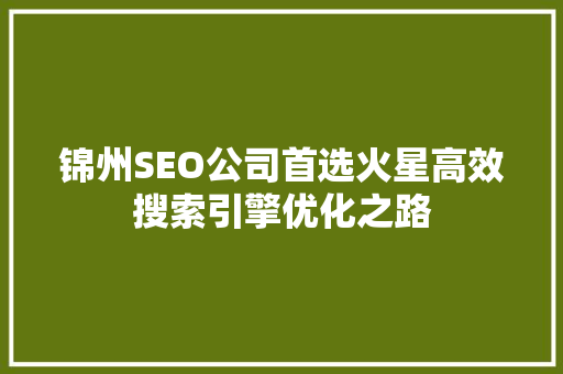 锦州SEO公司首选火星高效搜索引擎优化之路
