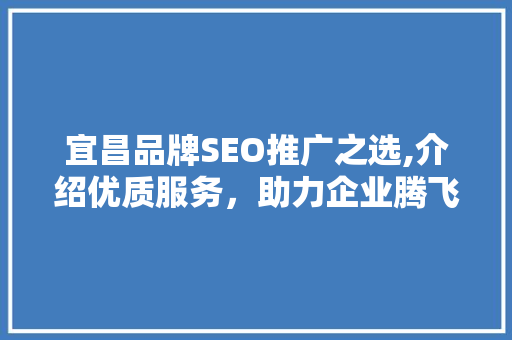 宜昌品牌SEO推广之选,介绍优质服务，助力企业腾飞
