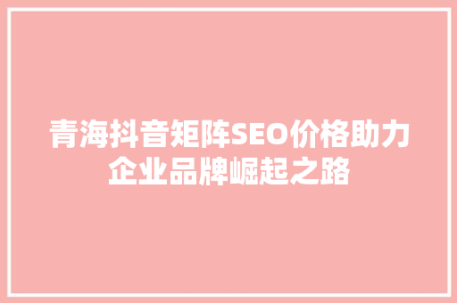 青海抖音矩阵SEO价格助力企业品牌崛起之路