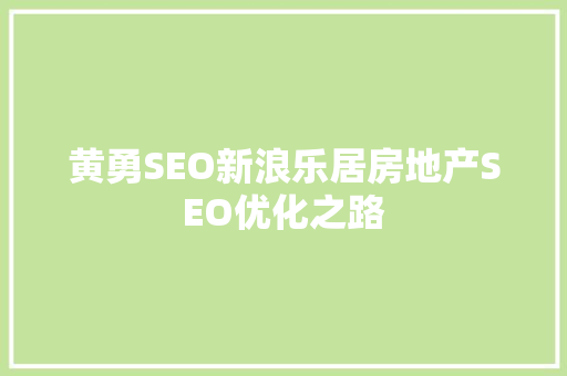 黄勇SEO新浪乐居房地产SEO优化之路