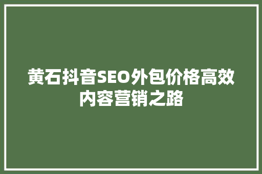 黄石抖音SEO外包价格高效内容营销之路