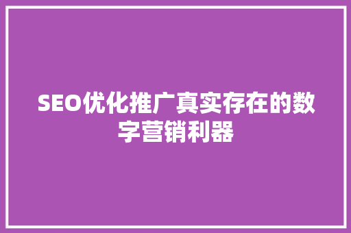 SEO优化推广真实存在的数字营销利器