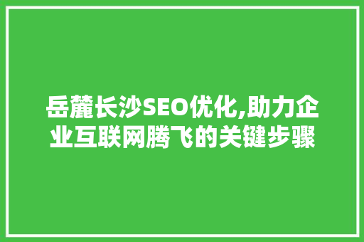 岳麓长沙SEO优化,助力企业互联网腾飞的关键步骤