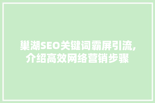 巢湖SEO关键词霸屏引流,介绍高效网络营销步骤
