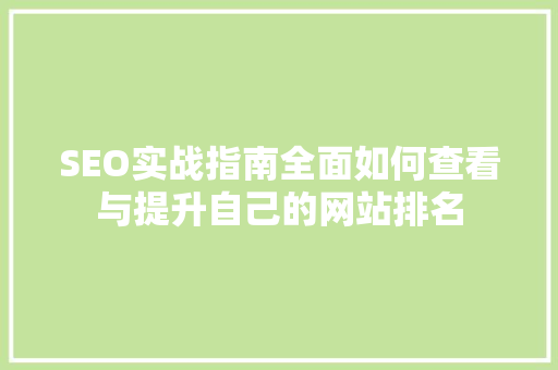 SEO实战指南全面如何查看与提升自己的网站排名
