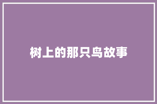 SEO89s8com探寻关键词布局的艺术