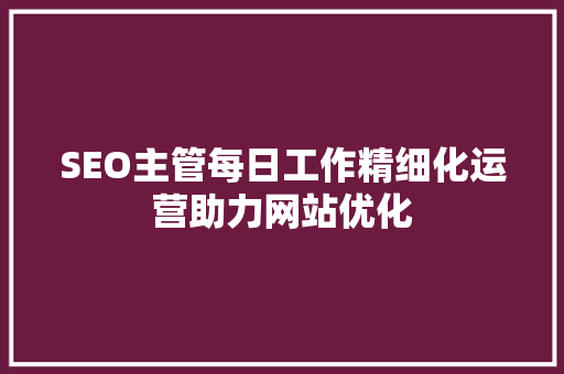 SEO主管每日工作精细化运营助力网站优化