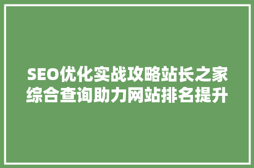 SEO优化实战攻略站长之家综合查询助力网站排名提升