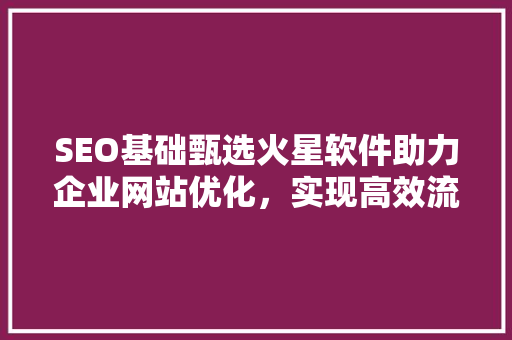 SEO基础甄选火星软件助力企业网站优化，实现高效流量转化