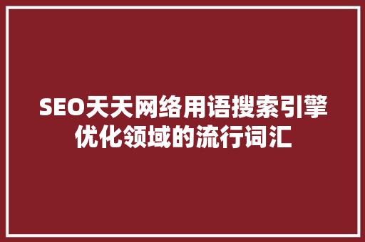 SEO天天网络用语搜索引擎优化领域的流行词汇