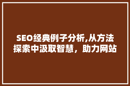 SEO经典例子分析,从方法探索中汲取智慧，助力网站优化  第1张