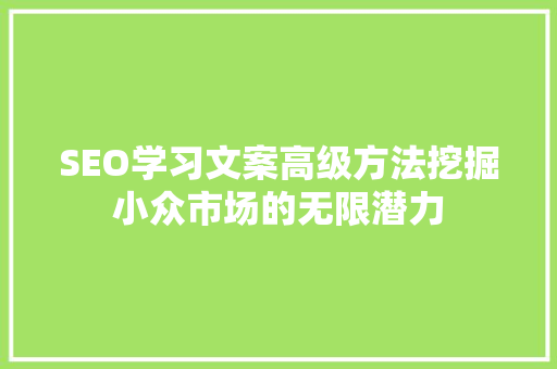 SEO学习文案高级方法挖掘小众市场的无限潜力