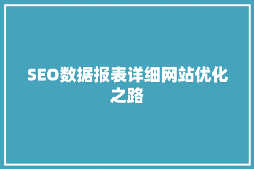 SEO数据报表详细网站优化之路