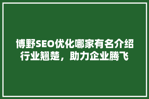 博野SEO优化哪家有名介绍行业翘楚，助力企业腾飞  第1张