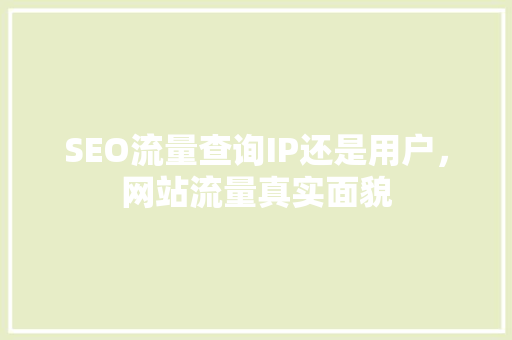 SEO流量查询IP还是用户，网站流量真实面貌  第1张