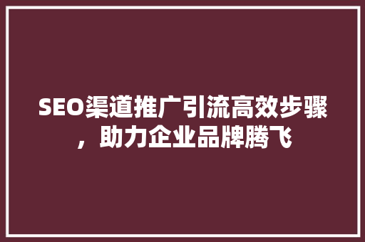 SEO渠道推广引流高效步骤，助力企业品牌腾飞