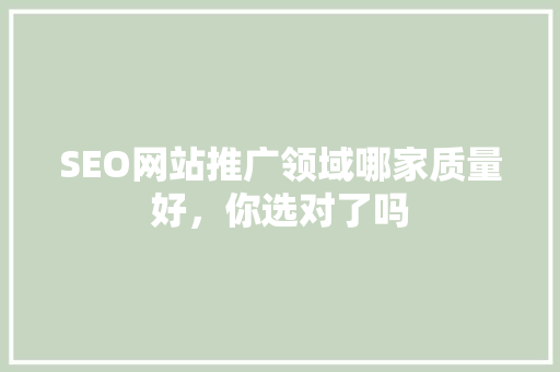 SEO网站推广领域哪家质量好，你选对了吗
