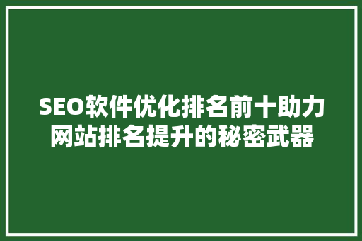 SEO软件优化排名前十助力网站排名提升的秘密武器