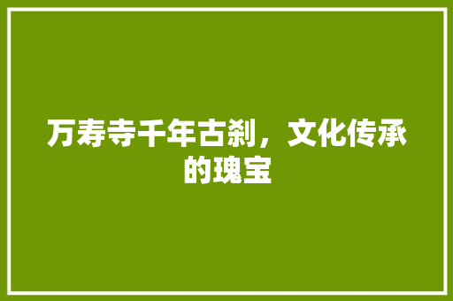 万寿寺千年古刹，文化传承的瑰宝