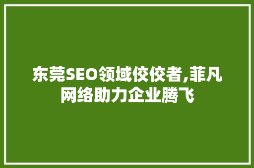 东莞SEO领域佼佼者,菲凡网络助力企业腾飞  第1张