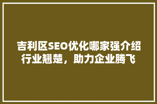 吉利区SEO优化哪家强介绍行业翘楚，助力企业腾飞